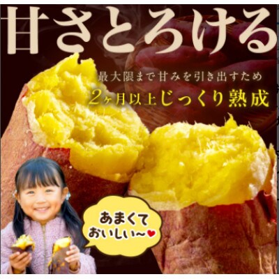 さつまいもオブザイヤー紅はるか部門全国1位 紅はるか　土付き(1本120～450g程度)10kg