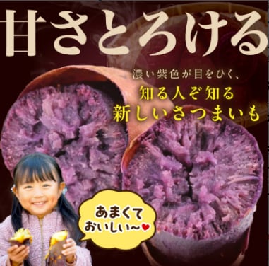さつまいもオブザイヤー全国1位 さつまいも ふくむらさき 土付き(1本120〜450g程度)10kg