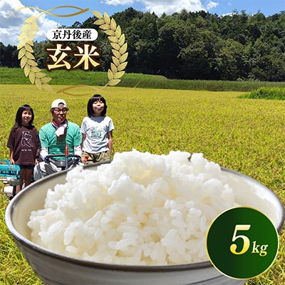 【令和7年産 先行予約】京都 丹後産コシヒカリ(玄米5kg)農家直送つやつやもっちり、京の米
