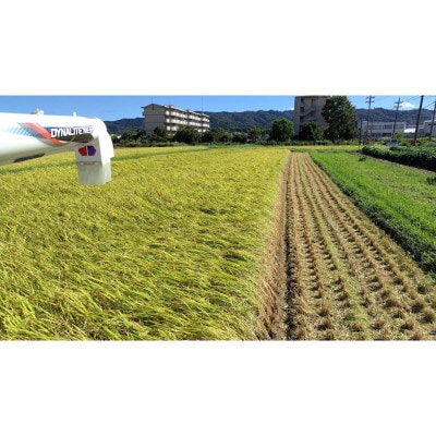 【令和7年産 先行予約】京都 丹後産コシヒカリ(玄米5kg)農家直送つやつやもっちり、京の米