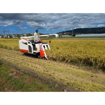 【令和7年産 先行予約】京都 丹後産コシヒカリ(玄米10kg)農家直送つやつやもっちり、京の米