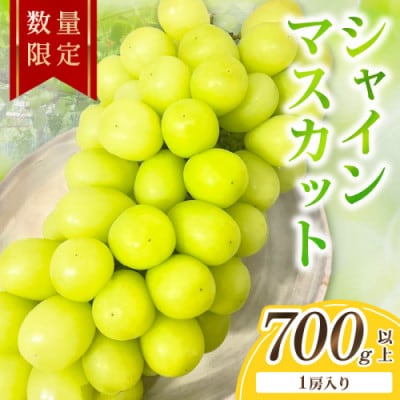 【先行予約/数量限定】シャインマスカット 700g以上(1房入り)2026年9月上旬～順次発送