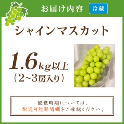 【先行予約/数量限定】シャインマスカット 1.6kg以上(2～3房入り)2026年9月上旬～順次発送