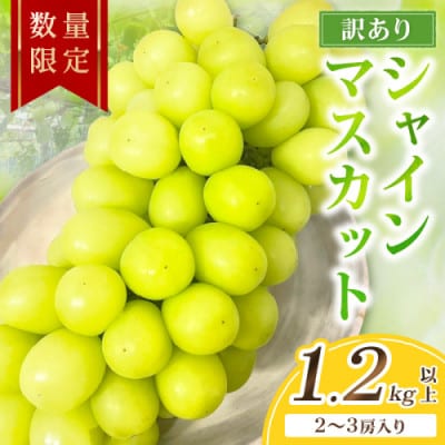 【先行予約/数量限定】訳ありシャインマスカット 1.2kg以上(2～3房入り)(9月より順次発送)