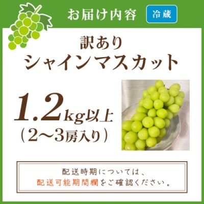 【先行予約/数量限定】訳ありシャインマスカット 1.2kg以上(2～3房入り)(9月より順次発送)