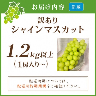 【先行予約/数量限定】訳ありシャインマスカット 1.2kg以上(1房入り〜)(9月より順次発送)