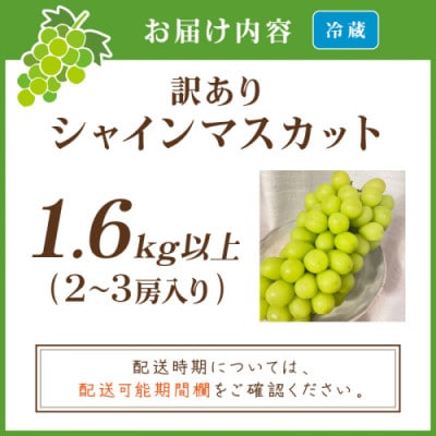 【先行予約/数量限定】訳ありシャインマスカット 1.6kg以上(2～3房入り)(9月より順次発送)