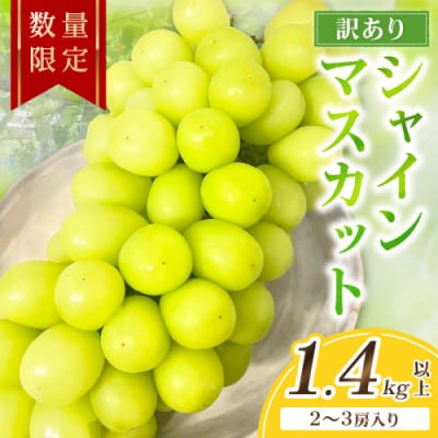 【先行予約/数量限定】訳ありシャインマスカット 1.4kg以上(2～3房入り)(9月より順次発送)