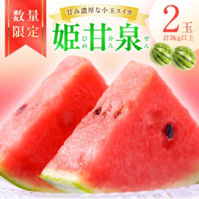 【先行予約/数量限定】小玉スイカ 姫甘泉2玉(2026年7月中旬～順次発送)