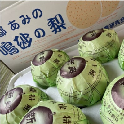 【先行予約/数量限定】新興梨　5kg(2026年10月中旬～順次発送)