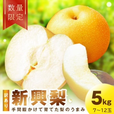 【先行予約/数量限定】訳あり 新興梨　5kg(2026年10月中旬～順次発送)