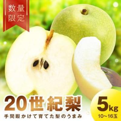 【先行予約/数量限定】廿世紀梨　5kg(2026年9月上旬～順次発送)