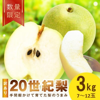 【先行予約/数量限定】訳あり 廿世紀梨 3kg(2026年9月上旬～順次発送)