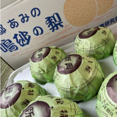 【先行予約/数量限定】新興梨 3kg(2026年10月中旬～順次発送)