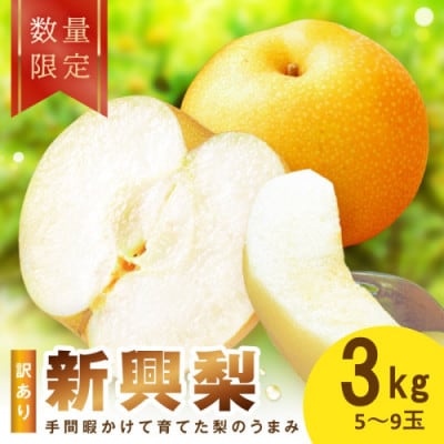 【先行予約/数量限定】訳あり 新興梨 3kg(2026年10月中旬～順次発送)