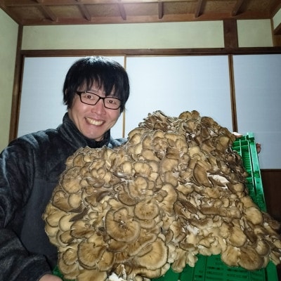 京丹後市産 原木マイタケほだ木 派生品セット(3袋)