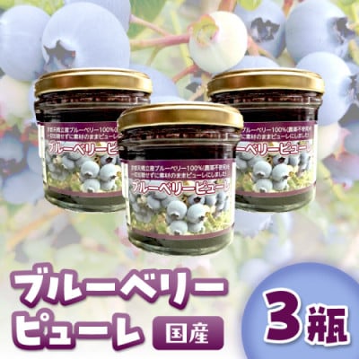 国産ブルーベリーピューレ　栽培期間中農薬不使用(3瓶)