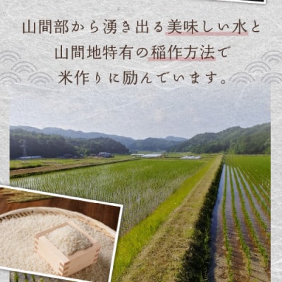 2026年産 京都・久美浜三谷産 丹後コシヒカリ「三谷幸米」 玄米 30kg 農家直送