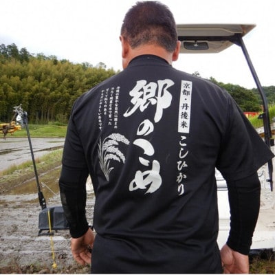 京都・網野郷産 特別栽培米コシヒカリ 玄米10kg  京のプレミアム米「最高金賞」受賞