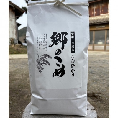 京都・網野郷産 特別栽培米コシヒカリ 精米5kg  京のプレミアム米「最高金賞」受賞