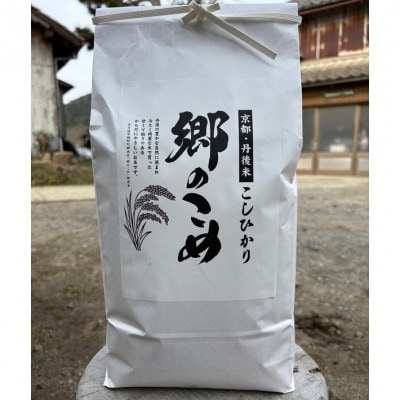 京都・網野郷産 特別栽培米コシヒカリ 精米10kg  京のプレミアム米「最高金賞」受賞