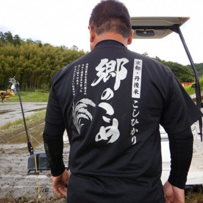 京都・網野郷産 特別栽培米コシヒカリ 精米10kg  京のプレミアム米「最高金賞」受賞