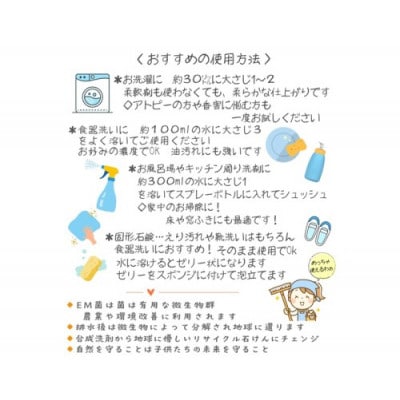 地球に優しいエコなEM菌入石けん 海の京都 京丹後からお届け/粉石けん800g×2袋+固形石鹸2個
