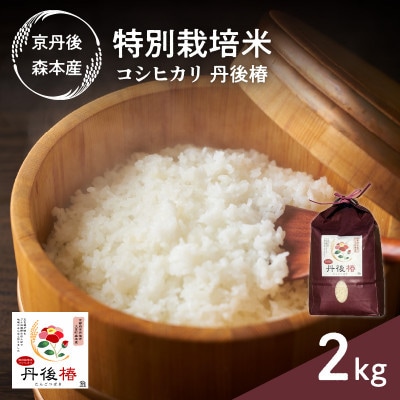 令和7年産 特別栽培米コシヒカリ 丹後椿(京丹後森本産) 2kg