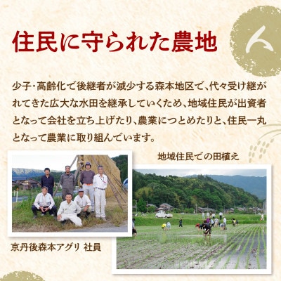 令和7年産 特別栽培米コシヒカリ 丹後椿(京丹後森本産) 2kg