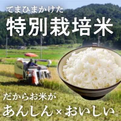 令和7年産 特別栽培米コシヒカリ 丹後椿(京丹後森本産) 2kg