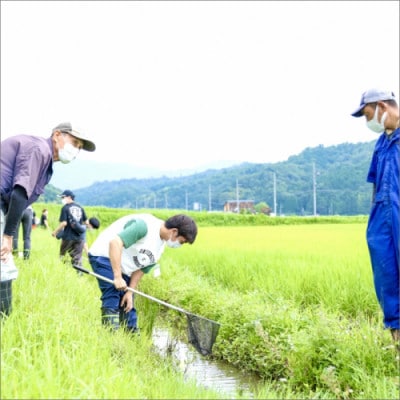 2025年産 京丹後産生物多様性米コシヒカリ「ゲンゴロウ郷の米」10kg箱入 おいしいお米