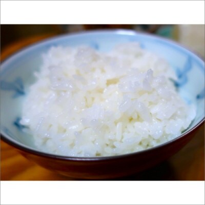 2025年産 京丹後産生物多様性米コシヒカリ「ゲンゴロウ郷の米」10kg箱入 おいしいお米