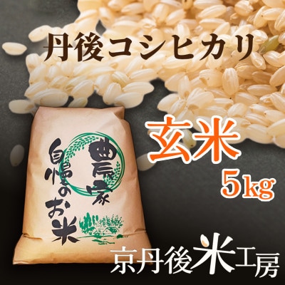【先行予約】2026年産 京丹後産コシヒカリ 玄米5kg