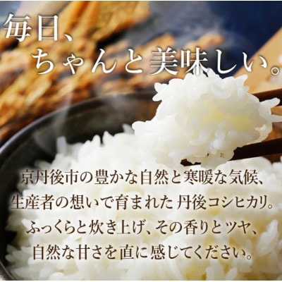 【先行予約】2026年産　京丹後産コシヒカリ 精米5kg