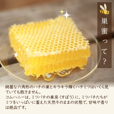 京丹後産巣蜜(コムハニー)200g KYOTOTANGOHONEY森の百花蜜 純粋非加熱天然はちみつ