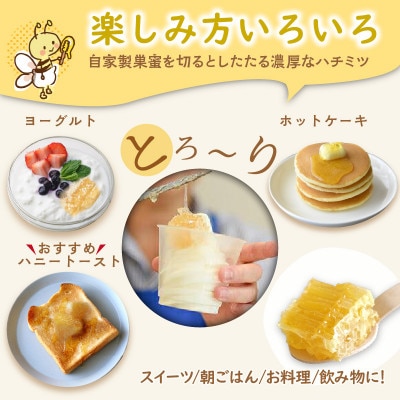 京丹後産巣蜜(コムハニー)200g KYOTOTANGOHONEY森の百花蜜 純粋非加熱天然はちみつ