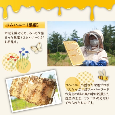 森の百花蜜 純粋天然はちみつセット 巣蜜入り純粋天然はちみつ150g、純粋天然はちみつ150g