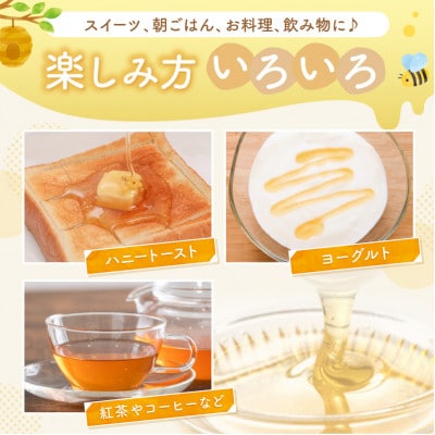 国産はちみつ KYOTOTANGOHONEY森の百花蜜 純粋天然はちみつ(ボトル) 500g×1本
