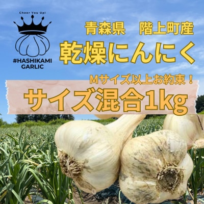 【Mサイズ以上お約束!】階上町産土付き乾燥にんにく#HASHIKAMIGARLIC　1kg入り