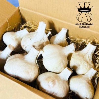 【Mサイズ以上お約束!】階上町産土付き乾燥にんにく#HASHIKAMIGARLIC　1kg入り