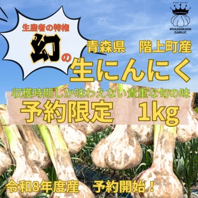【予約限定】生産者だけの特権!生にんにく1kg