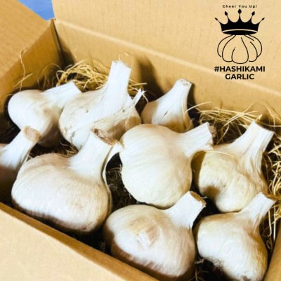 HASHIKAMI GARLIC 階上町産にんにく Lサイズ計2kg