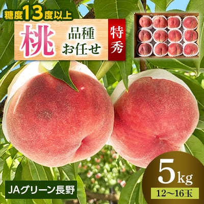 【先行受付】JAグリーン長野　桃　5kg　特秀(輝々)　12～16玉　糖度保障品　品種お任せ