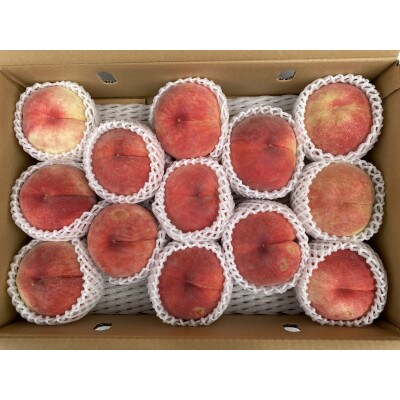 【先行受付】JAグリーン長野　桃　5kg　訳あり家庭用　12～16玉　糖度保障品　品種お任せ