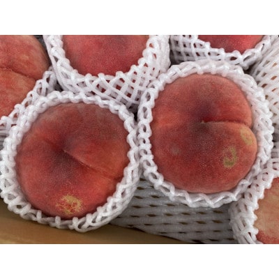 【先行受付】JAグリーン長野　桃　2kg　訳あり家庭用　6～8玉　糖度保障品　品種お任せ