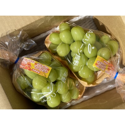 【先行受付】JAグリーン長野　シャインマスカット　2房(約1kg)　10月上旬より発送