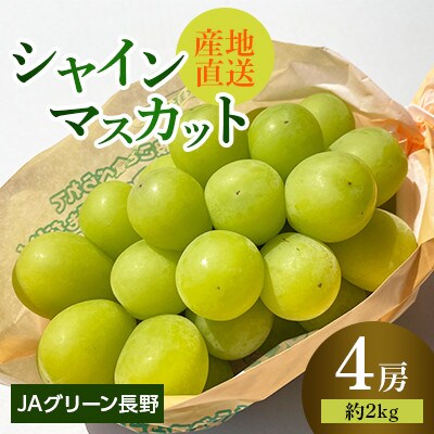 【先行受付】JAグリーン長野　シャインマスカット　4房(約2kg)　10月上旬より発送