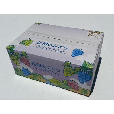JAグリーン長野　シャインマスカット　4房(約2kg)　2026年10月上旬より発送