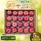 JAグリーン長野　サンふじ　5kg　訳あり家庭用　14～20玉　糖度保障品