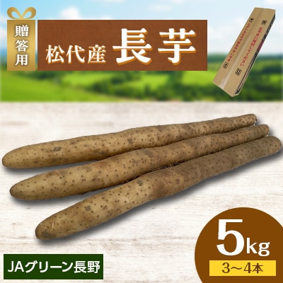 【先行受付】JAグリーン長野　松代産　長芋　5kg(3～4本)　贈答用